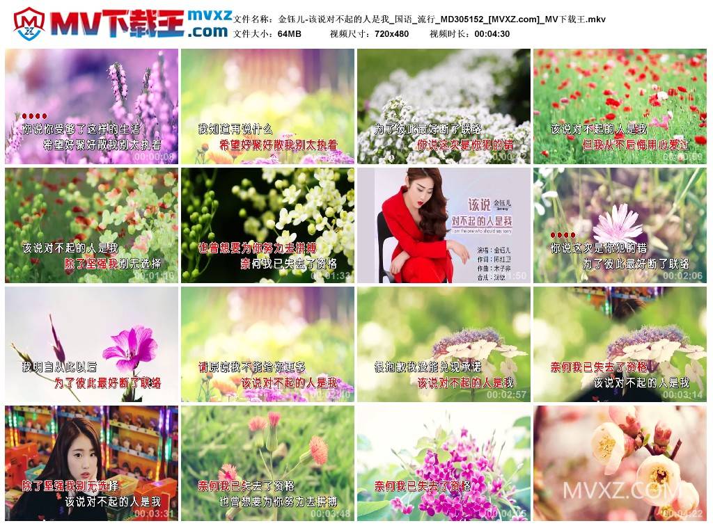 金钰儿-该说对不起的人是我_国语_流行_MD305152